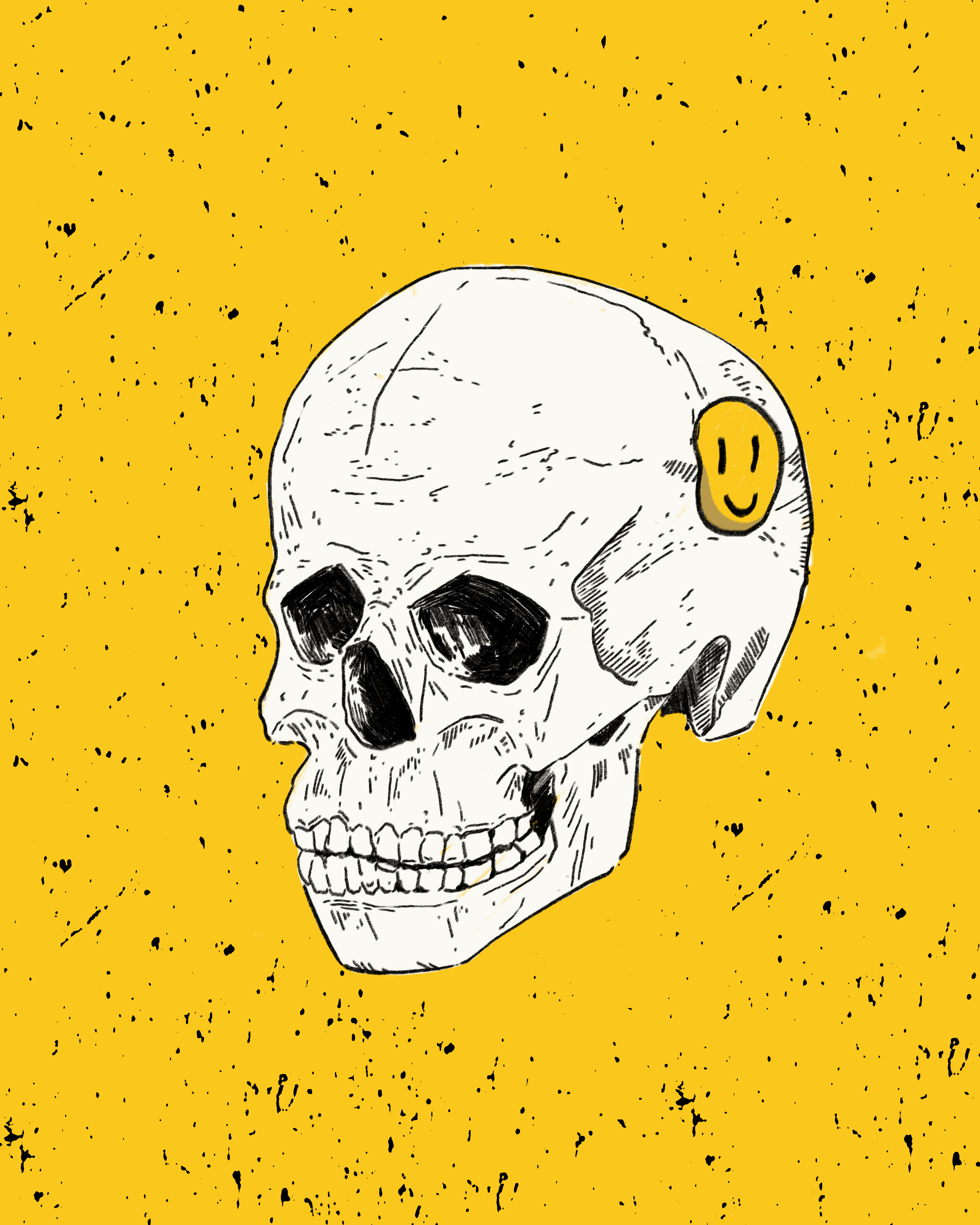 Skull 3 frame.gif