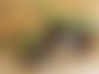 【10/23開催・観覧無料】「ホッチポッチミュージックフェスティバル 2022」