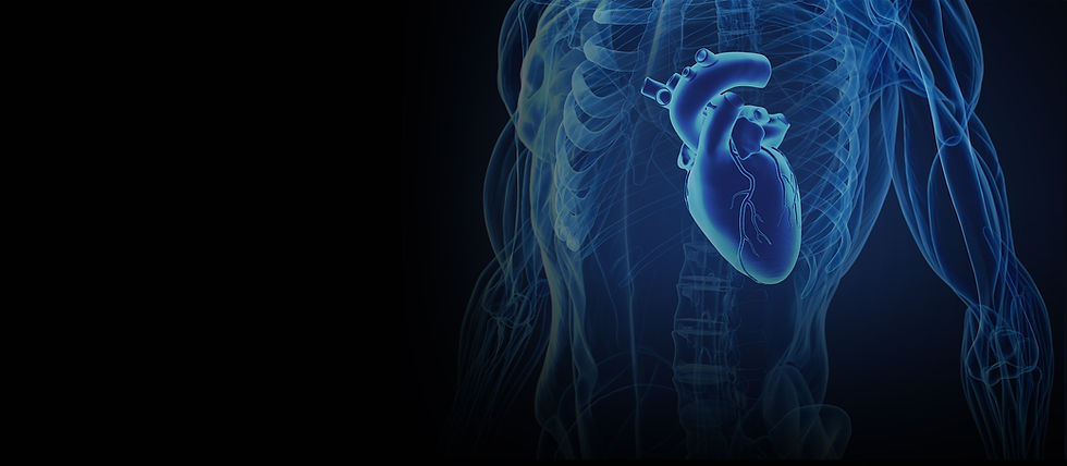 Digital Heart.jpg