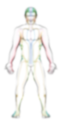 accupuncture_man.png