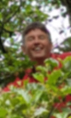 Steve in the tree