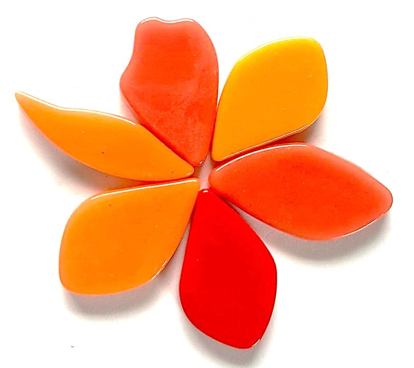 Fallen Petals - Nasturtium Mix