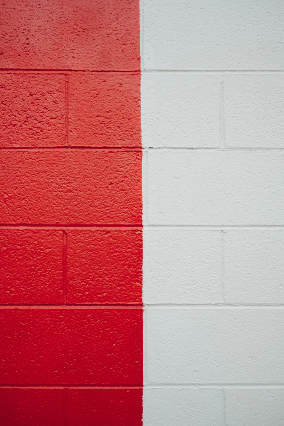 Debating on what colour to use to paint your bathroom? Call Adam and they will help you!