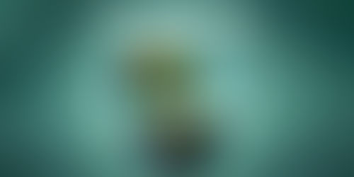 DELAWARE DIVAS GET $1K EARTH DAY