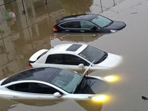 It's Electric! Climate Affects EV's & ICE