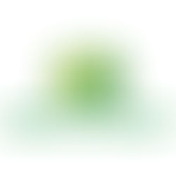 Jacques Chovghi Iazdi sendo treinado e capacitado como instrutor de Manipulador Telescópico.