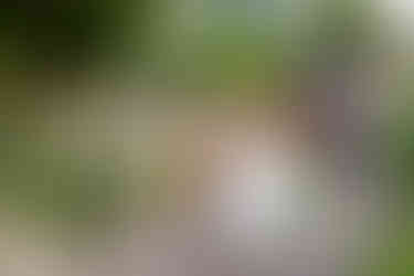 Bride smiles with bridesmaids, tractor in background. A glorious Farm Wedding in Aldbourne, Wiltshire.