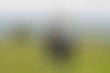 Man proposing to woman on one knee in a grassy field background.