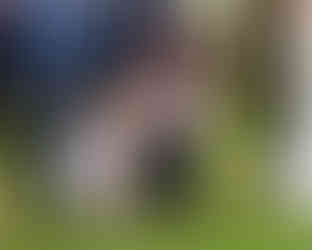 Group of people stands in a field with two children laughing.