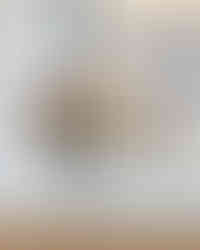 Three bouquets of dried flowers in glass vases near a window sill