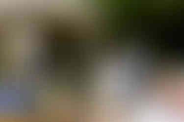 Wedding ceremony with officiant, bride, and groom under wooden arbor outdoors.