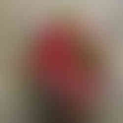 Vibrant floral bouquet with assorted colorful flowers and green foliage close-up view.