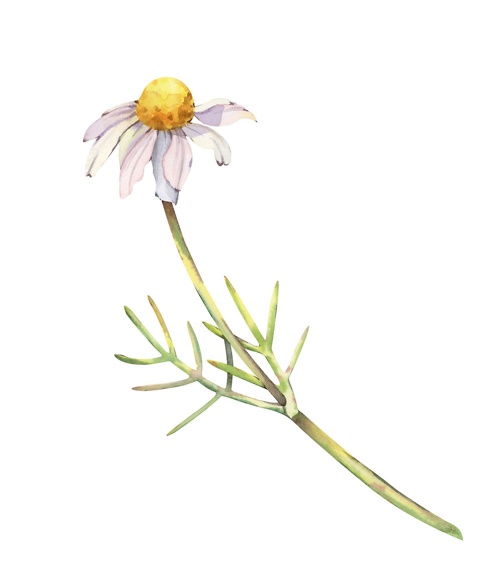 ree