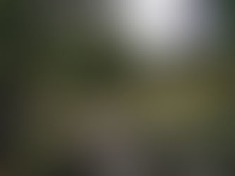 Tag 5: Beinglas Farm - Crianlarich