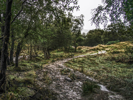 Tag 5: Beinglas Farm - Crianlarich