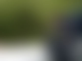 Tag 8: Glencoe Mountain Resort - Kinlochleven Wald / Old Military Road