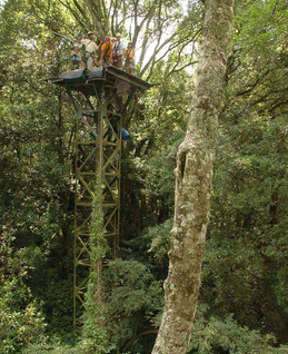 Best adventure activities Midlands Karkloof Canopy Tour