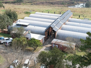 Artisan Tunnels at The Old Mushroom Farm