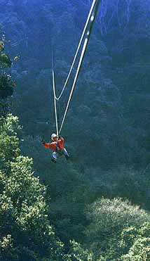 Karkloof Canopy Tour Zipline Best Midlands Acrivities