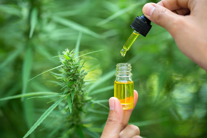 Is cannabis oil legal in Florida?