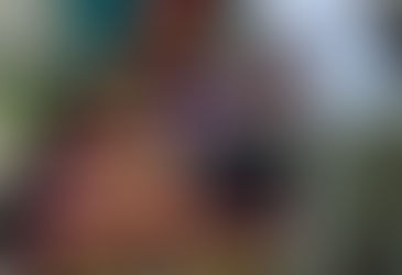 Is it legal to pay for sex at a massage parlor in Florida?