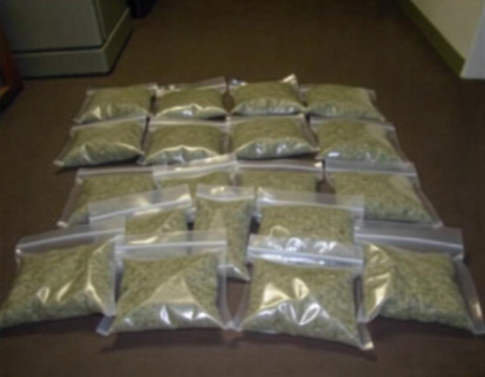 Marijuana: How Much is Too Much in Florida?