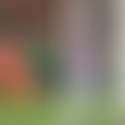 CAN 2023 : L’HISTOIRE EST BELLE ET SÉBASTIEN