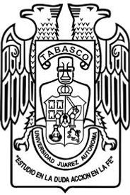 UJAT logo.jpg