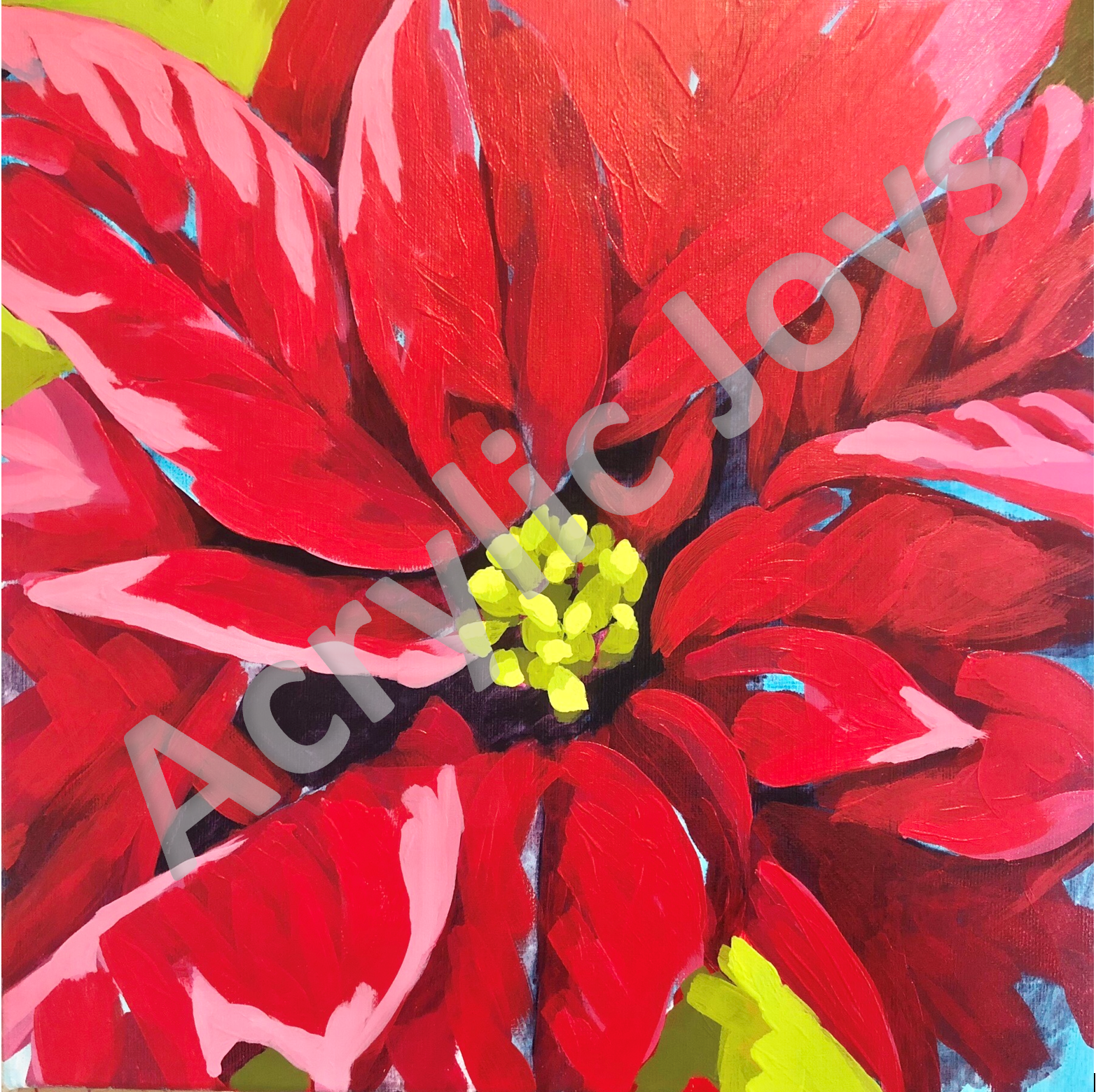 Winter Red Poinsettia