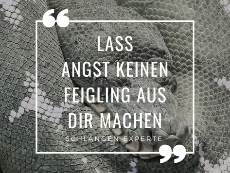 Lass Angst keinen Feigling aus dir machen!