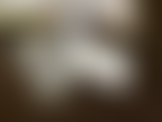 Bible Teacher Gift - Homemade Bible Cookies with Free Gift Tags!