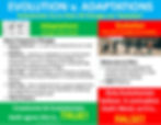 Evolution v. Adaptations Graphic