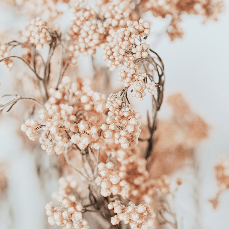 Untitled design (17).png