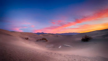 IMG_3052a - Copy.jpg