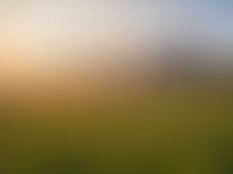 Frases Quiero platicar® Coaching