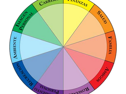 técnica de coaching rueda de la vida