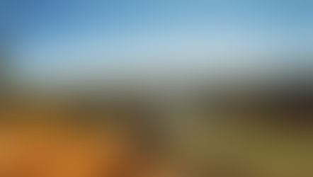 Motivación intrínseca y extrínseca