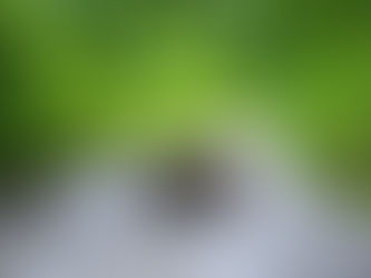 El obstáculo en el camino