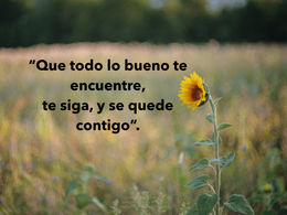 Frases Quiero platicar® Coaching