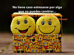 Frase "No tiene caso estresarse por algo que no puedes cambiar. Sigue adelante y crece más fuerte"