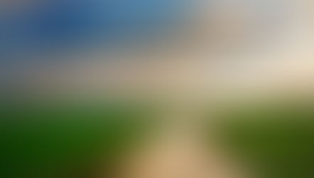 Frases Quiero platicar® Coaching