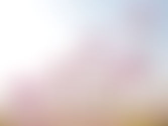 ¡Feliz día de San Valentín!