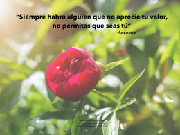 Frases Quiero platicar® Coaching