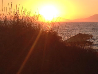 Add some Zing to your Summer: it’s time to activate, create and manifest