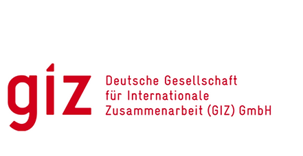 giz-standard-logo.png