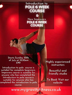 Introduction to pole course (1).jpg
