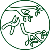 Baumpflege
