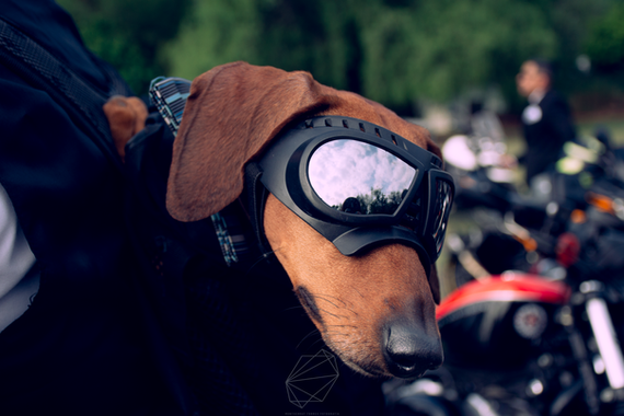 Harley- Davidson Central-1.png
