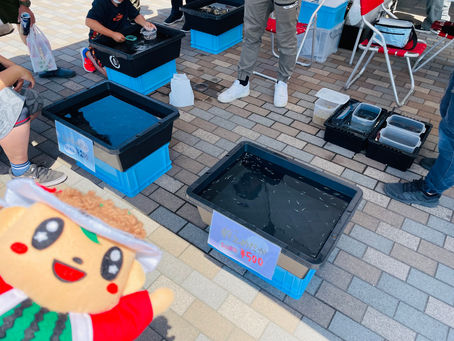 めだかすくい開催