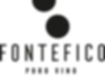 Thumbnail: Fontefico, Aglianico Terre di Chieti Vigna le Coste 'Coste Toste' IGT, 2012